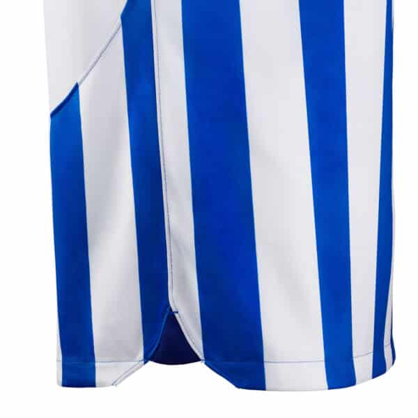 MAILLOT BRIGHTON DOMICILE 2023-2024